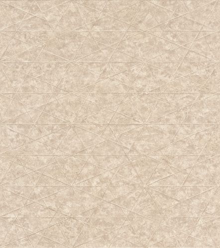 Non-Woven Wallpaper Rasch Graphic Mesh dark beige 554335