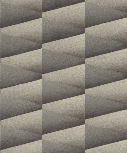 Non-Woven Wallpaper Rasch 3D Graphic anthracite 554663