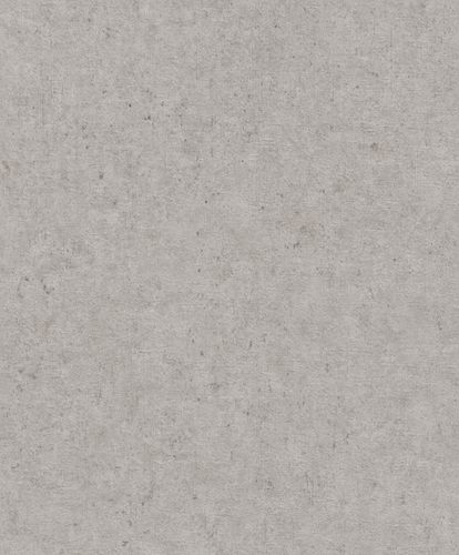 Rasch Concrete wallpaper concrete look gray 520866