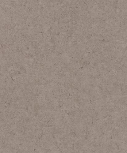 Rasch Concrete wallpaper concrete look brown 520873