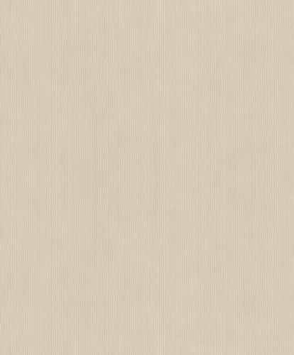 Rasch Concrete wallpaper plain lines beige gray 521450