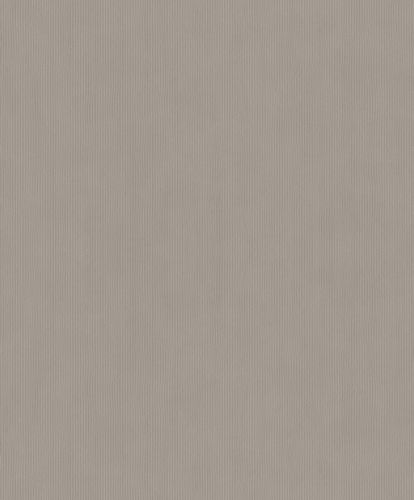 Rasch Concrete wallpaper plain lines gray 521481