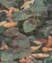 Non-woven wallpaper Koi pond Multicolored WL2401 1