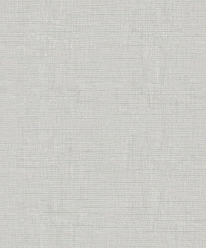 Non-woven wallpaper Ivy uni structure beige blue Novamur