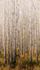 Wall mural non-woven Grandeco Beige Trees A42601 1