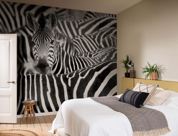 Rasch photo wallpaper zebra exotic black white 363609