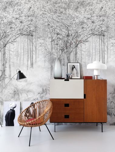 Wall Mural Forest Nature Fog Tree grey White ML2802