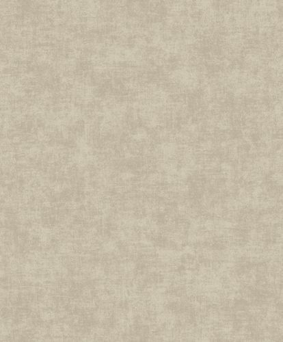 Non-Woven Wallpaper Concrete Look Vintage grey Beige