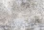 Wall mural Guido Maria Kretschmer leaves plaster look gray 3