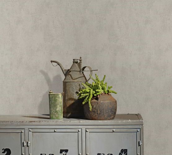 Non-woven wallpaper plain plaster texture beige grey 82399