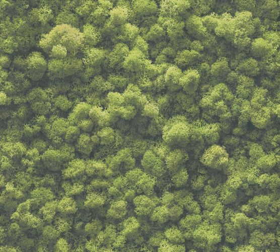 Wallpaper sample article 39405-1