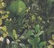 Wallpaper sample article 39698-1 1