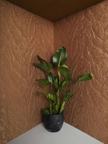 Non-woven wallpaper wave pattern copper metallic 86545