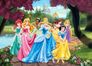 XXL Poster Wall mural wallpaper Disney Princess Castle park 160 cm x 115 cm / 1.75 yd x 1.26 yd / 1.75 yd x 1.26 yd 1