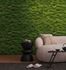 Photo wallpaper moss wall nature motif green 39839-1 1