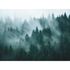 Photo wallpaper forest trees fog green blue 39898-1 2