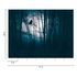 Photo Wallpaper Forest Owl Night Blue Black 39909-1 3