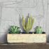 Non-woven wallpaper graphic grey white gold metallic 82452 1