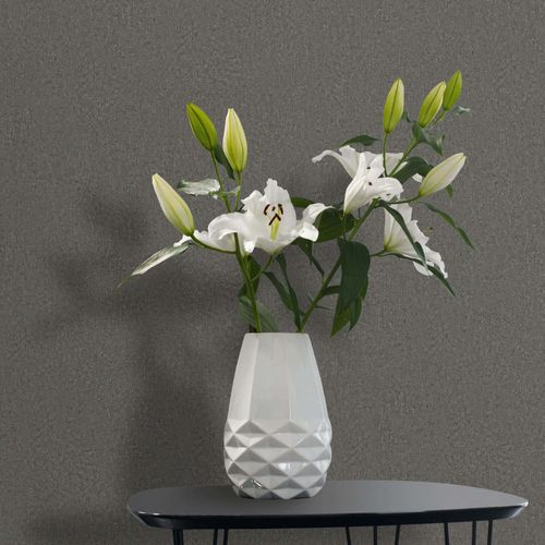 Non-woven wallpaper plain concrete look anthracite 35541