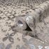 Non-woven wallpaper graphic beige silver metallic 35120 3