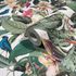 Non-woven wallpaper Tropical Floral White Green Pink 81686 4