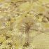 Non-woven wallpaper leaves floral beige yellow 10506-20 3