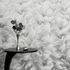 Wallpaper Guido Maria Kretschmer Floral Silver Metallic 5