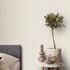 Wallpaper Guido Maria Kretschmer Plain Cream Beige 5