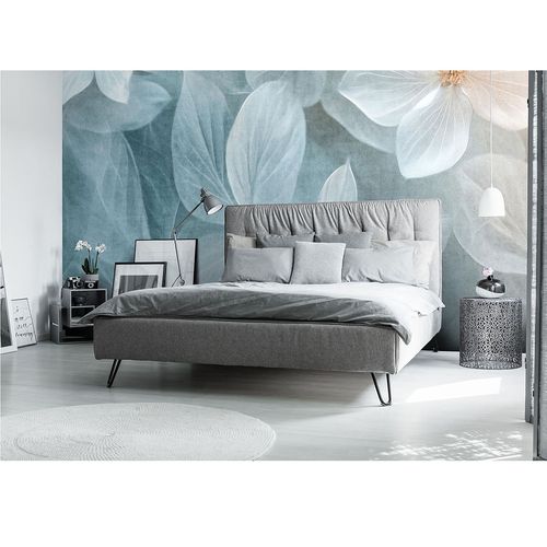 Guido Maria Kretschmer photo wallpaper floral blue cream