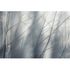 Guido Maria Kretschmer photo wallpaper branches grey 3