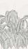 Photo wallpaper Leaves Tropical Grey Black 79217-1 2