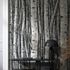 Mural wallpaper forest trees nature motif grey cream 35395 2