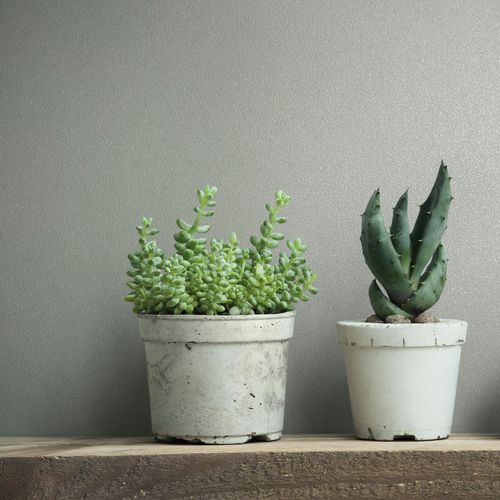 Non-woven Wallpaper plain Texture Modern Light Grey 82515