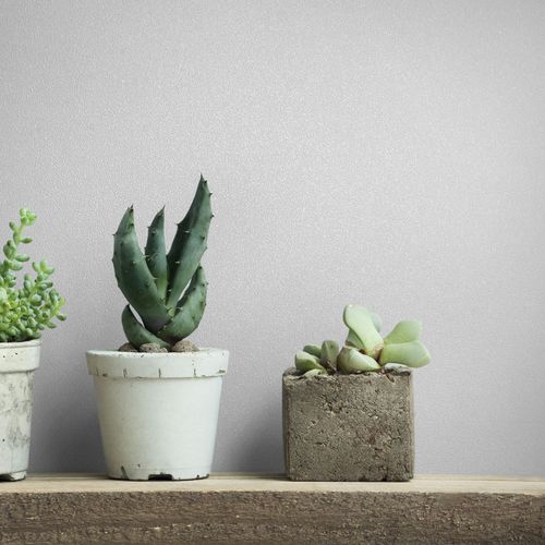 Non-woven wallpaper plain texture modern white 82529