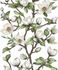 Non-woven Wallpaper Flowers White Green Brown 89038 3