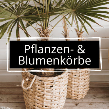 Pflanzen & Blumenkörbe