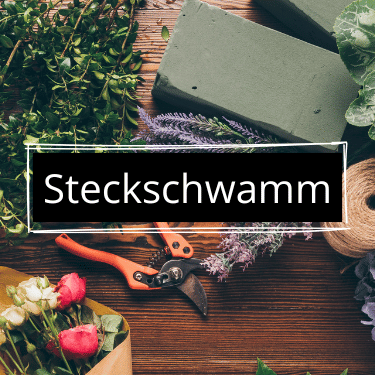 Steckschwämme