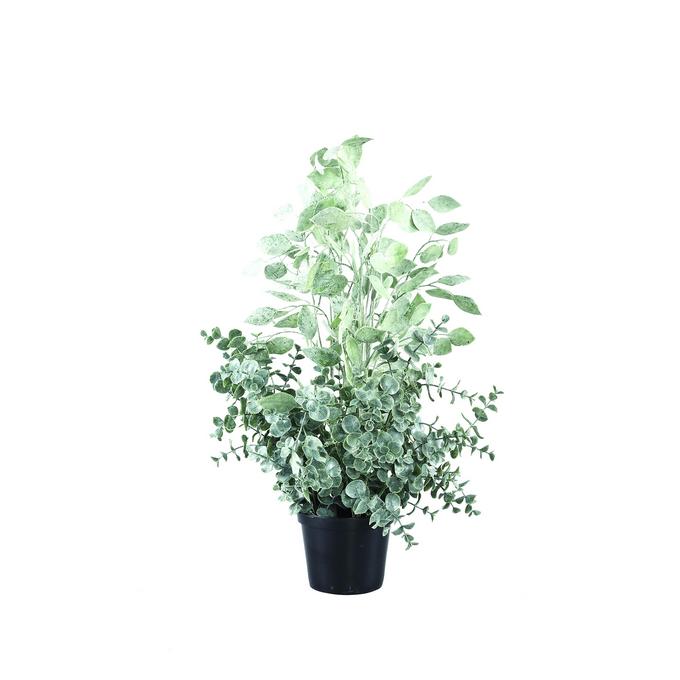 Kunstpflanze Eukalyptus im Topf | Schneider Korbwaren