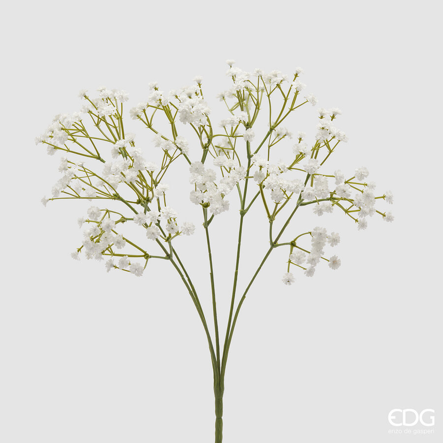 pampasgras knstlich 100 cm Miscanthus Pampas Online Bestellen | Pampasgras Getrocknet Online Kaufen |  Pampasgras Deko