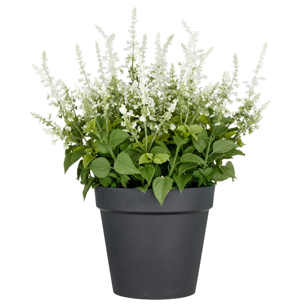 Salvia | Kunstpflanze | Weiss | Salbei Deko Weiss | Salvia superba XXL Weiss  | Schneider Korbwaren