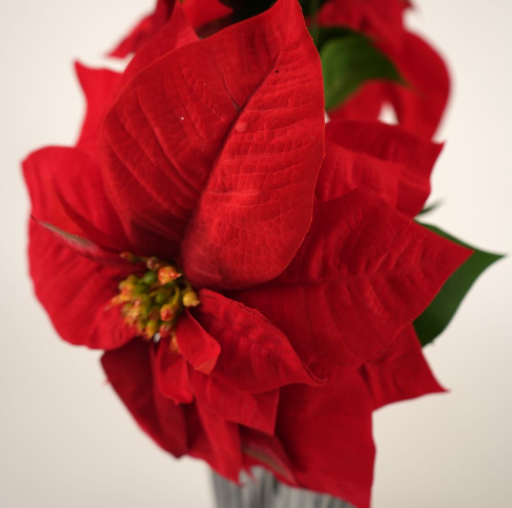 Weihnachtsstern Rot | Kunstblume | Weihnachtsdeko | Poinsettia | Deko-Zweig  Weihnachten | Schneider Korbwaren