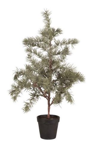 Knstlicher Zedernbaum | Im Topf | Immergrn | Pflegeleichte Deko |  Kunstpflanze Zeder | Schneider Korbwaren