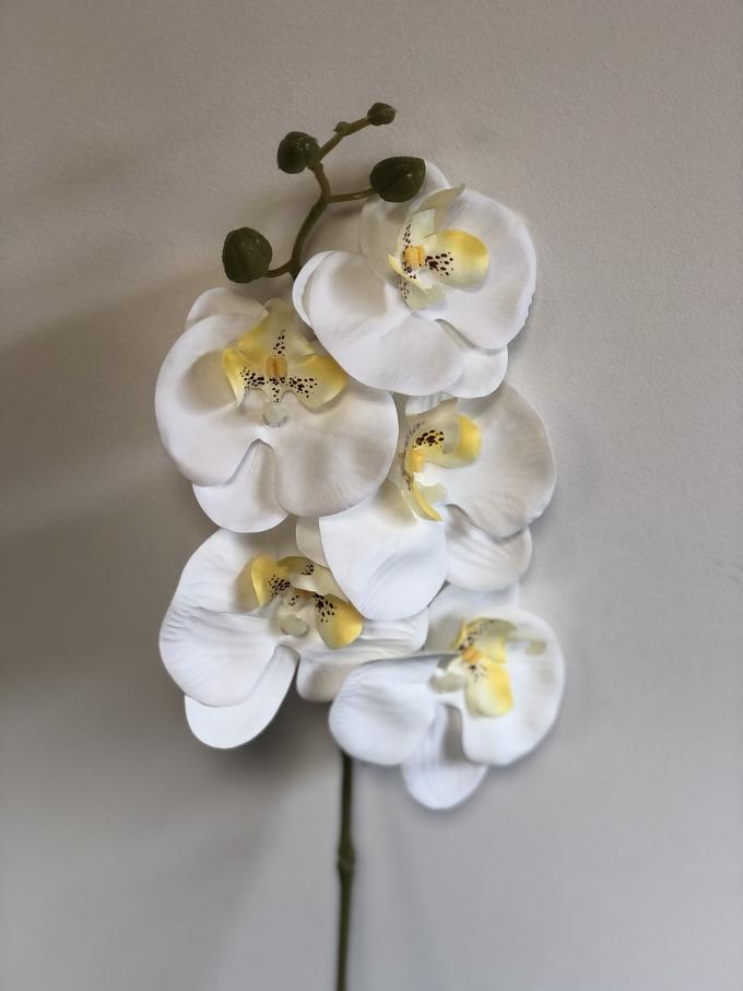 Kunstblumen Orchidee weiss (5 Blten) | Schneider Korbwaren