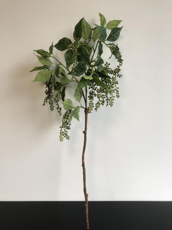 drachenbaum stamm verdicken Großer Drachenbaum 🐉 | Dracaena fragrans main image 0
