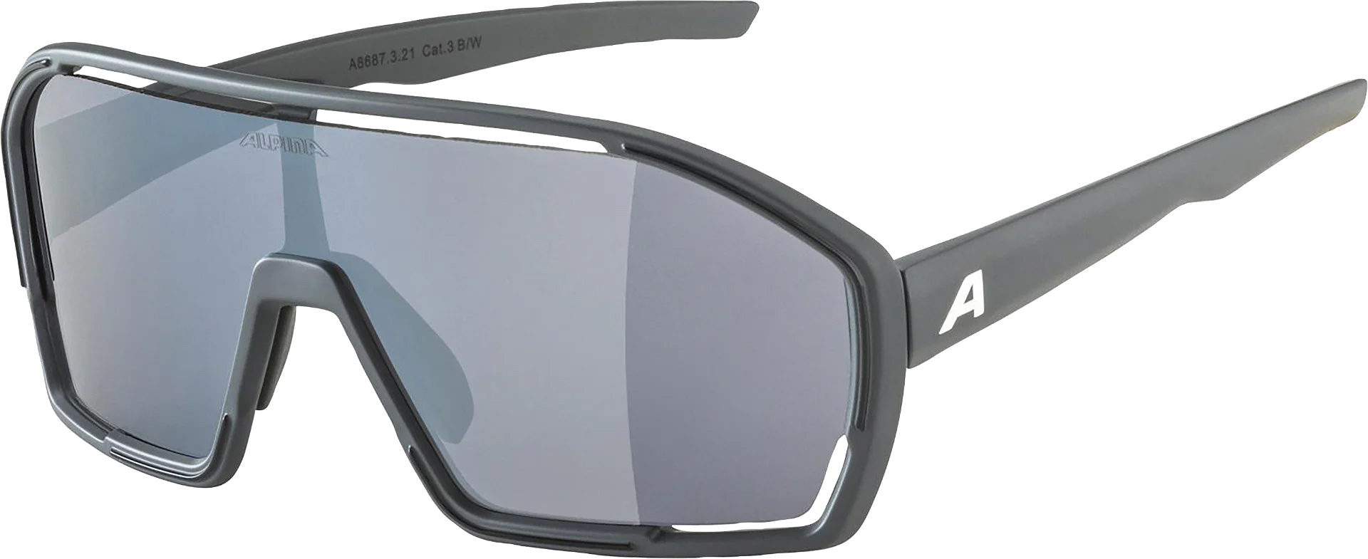 alpina sportsonnenbrille