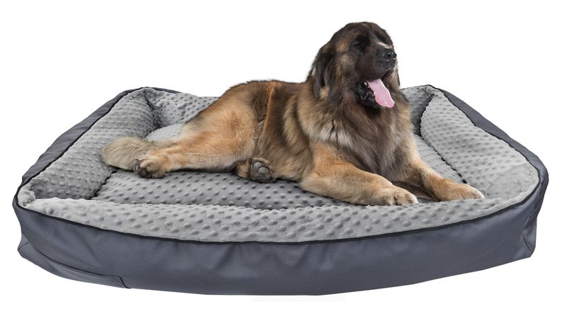 Portsea best sale dog bed