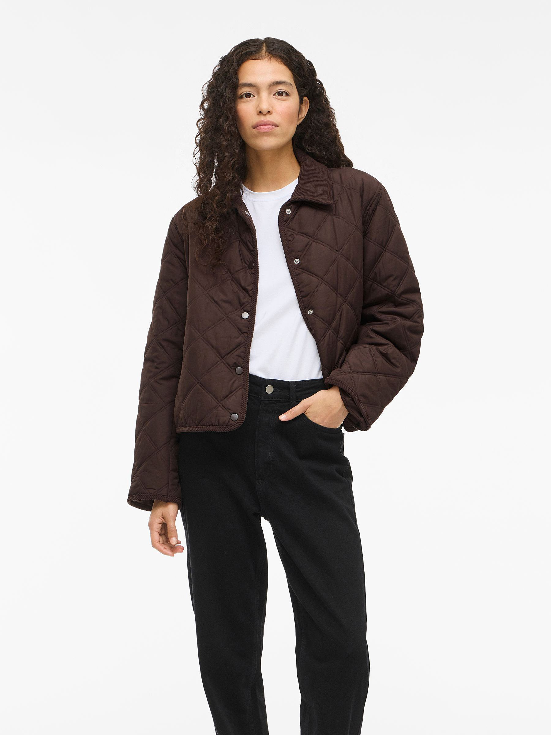 Gesteppte Jacke mit Kragen und Druckknopfverschluss Gesteppte Jacke mit Kragen und Druckknopfverschluss