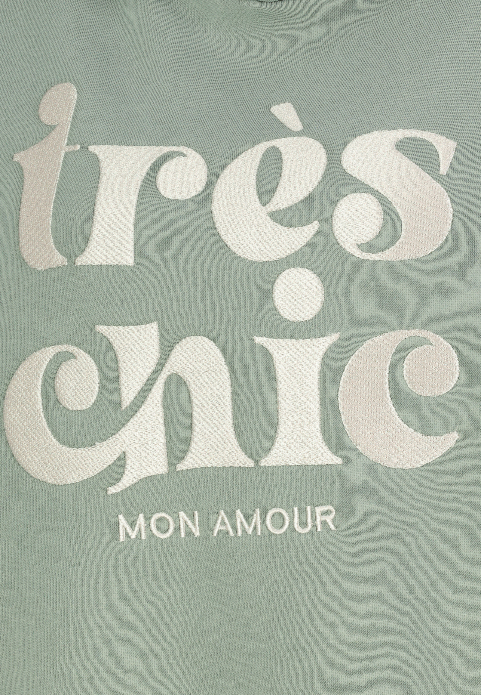 D10600BI02623D2_12300_D1.jpg Kapuzensweatshirt mit Aufdruck und Stickerei