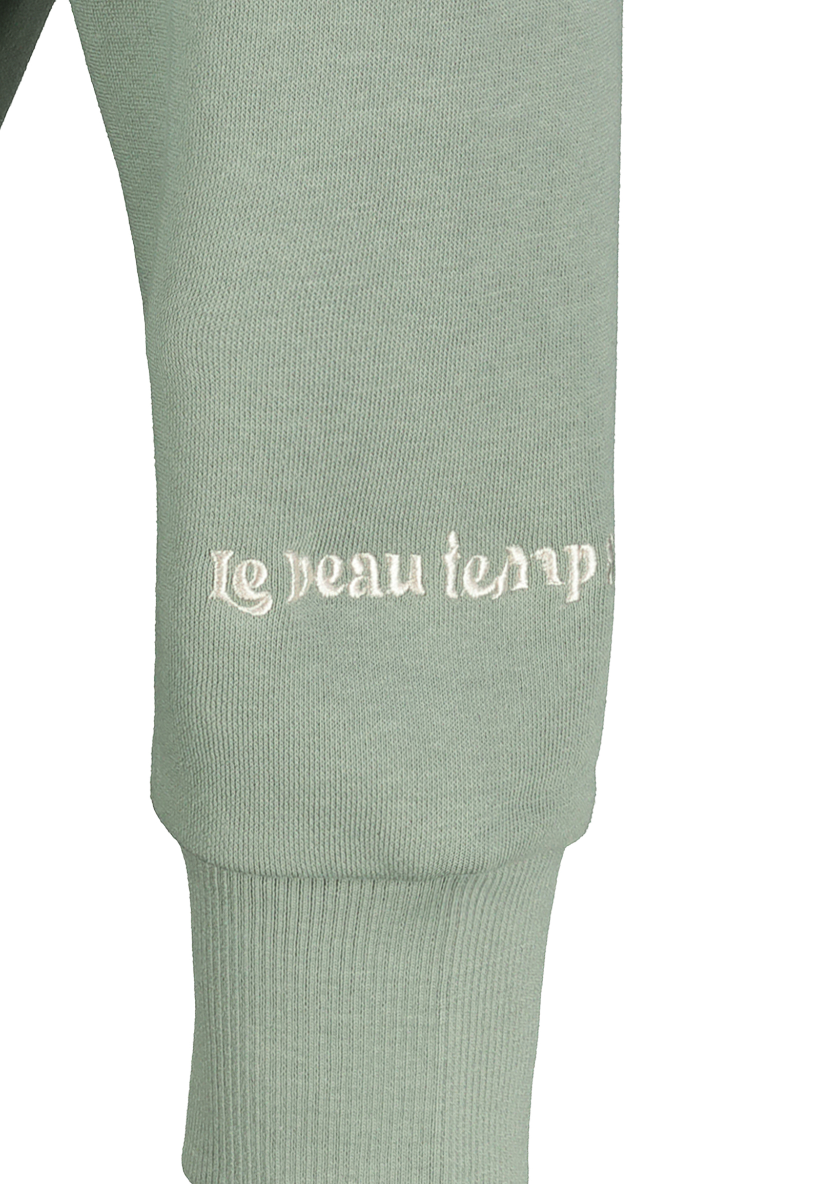 D10600BI02623D2_12300_D2.jpg Kapuzensweatshirt mit Aufdruck und Stickerei