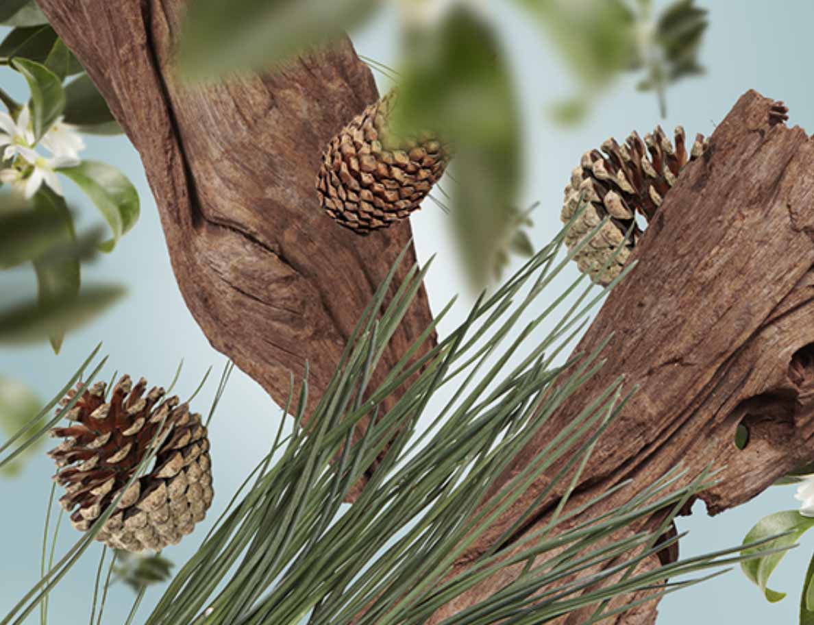 Frischer Tannenbaum / Sapin Festif 500 ml von Maison Berger Frischer Tannenbaum / Sapin Festif 500 ml von Maison Berger